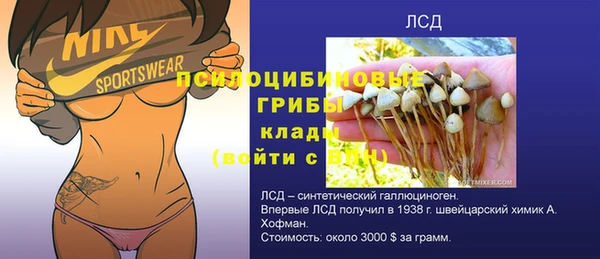 гидропоника Бородино
