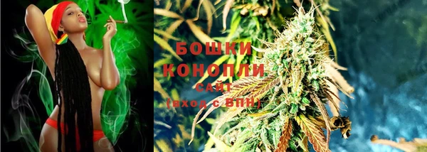 гидропоника Бородино